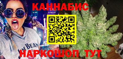 сатива Коммунар