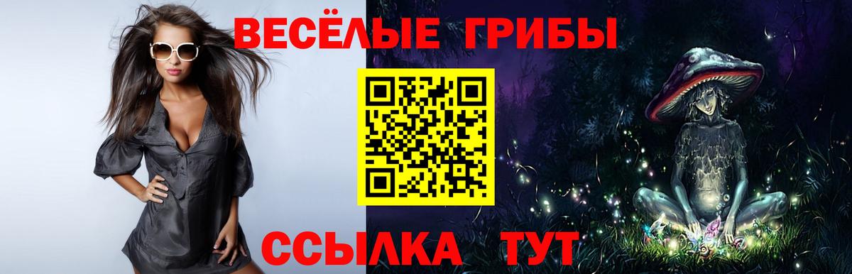 Кувандык  Галлюциногенные грибы Psilocybine cubensis  Вход с VPN 